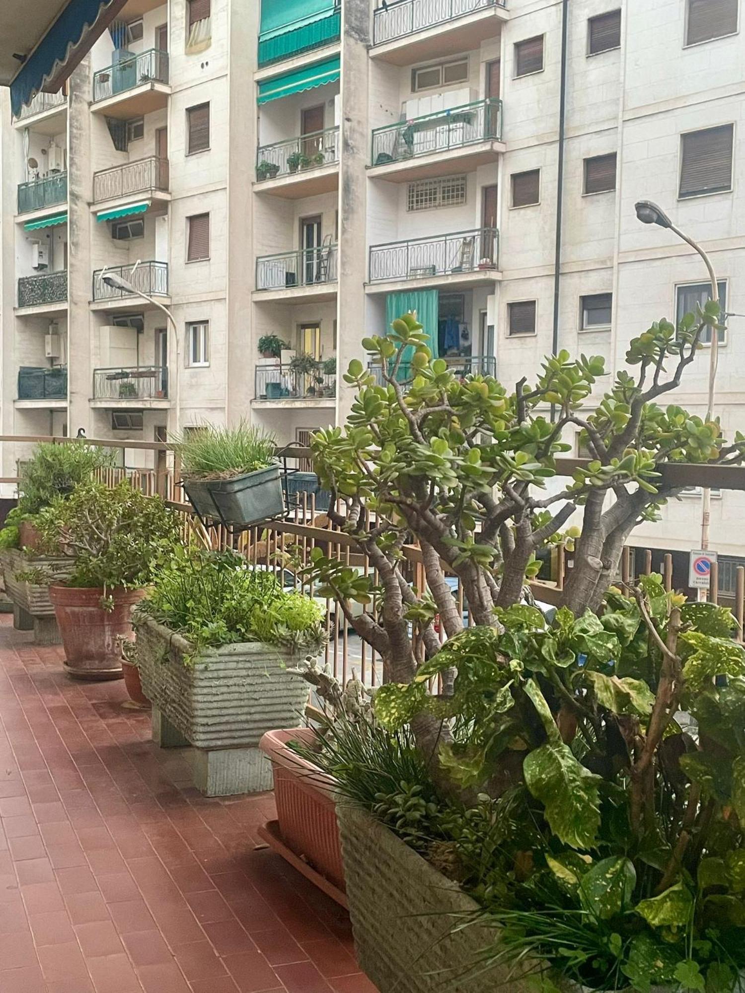1962 - Con Parcheggio Privato Gratuito Apartment